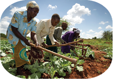 prosopiko gia agrotika kai georgika